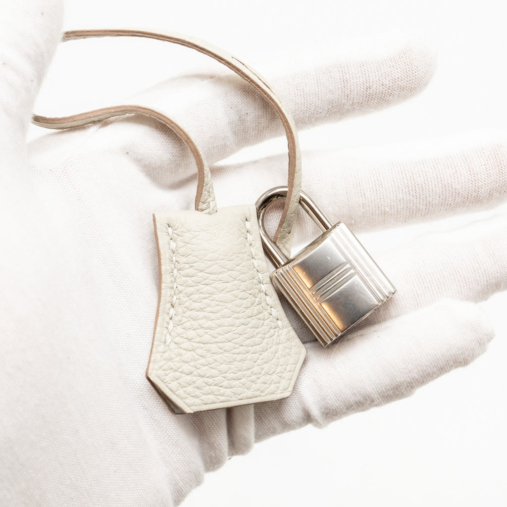 Hermes Birkin 25 Togo Gris Perle SHW