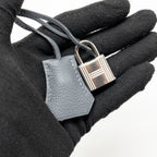 Hermes Birkin 25 Togo Gris Misty SHW