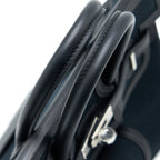 HERMES BIRKIN 25 CARGO TOILE GOELAND/SWIFT BLACK GHW