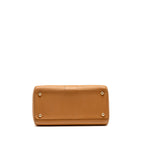 Delvaux Brilliant MM Calfskin Caramel LGHW