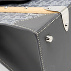 Goyard Structure Saigon PM Bag Goyardine Canvas / Calfskin Grey SHW