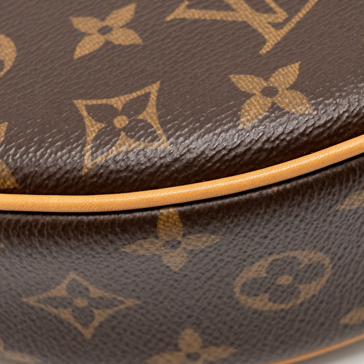 LOUIS VUITTON LOOP BAG MONOGRAM CANVAS GHW