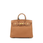 Hermes Birkin 25 Togo Gold GHW With Extra Twilly