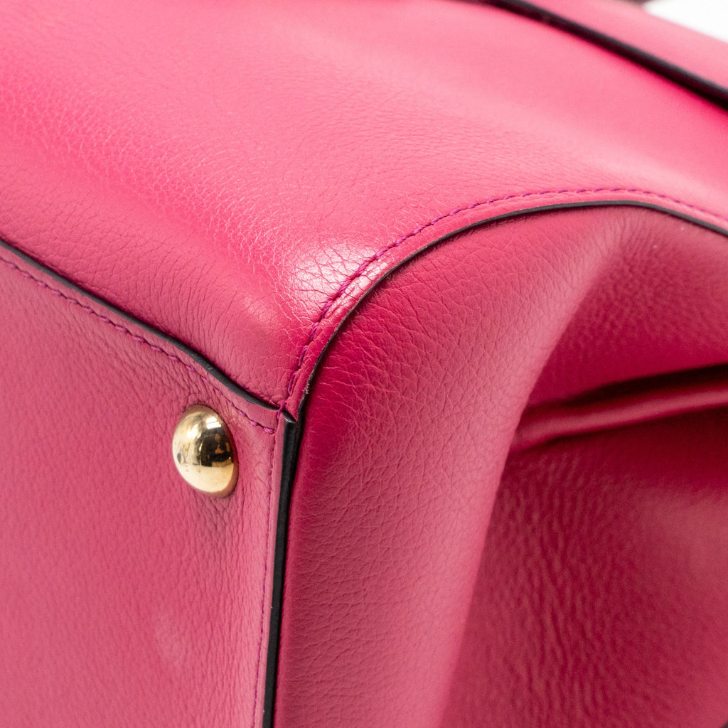 Delvaux Brilliant MM calfskin pink GHW