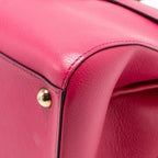 Delvaux Brilliant MM calfskin pink GHW