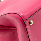 Delvaux Brilliant MM calfskin pink GHW