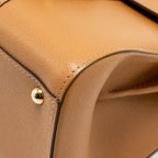 Delvaux mini brilliant calfskin brown GHW