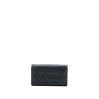 DIOR CARO POUCH CANNAGE CALFSKIN BLACK GHW