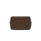 LOUIS VUITTON NEONOE EAMIER EBENE CANVAS