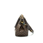 LOUIS VUITTON DAMIER CANVAS TREVI BAG