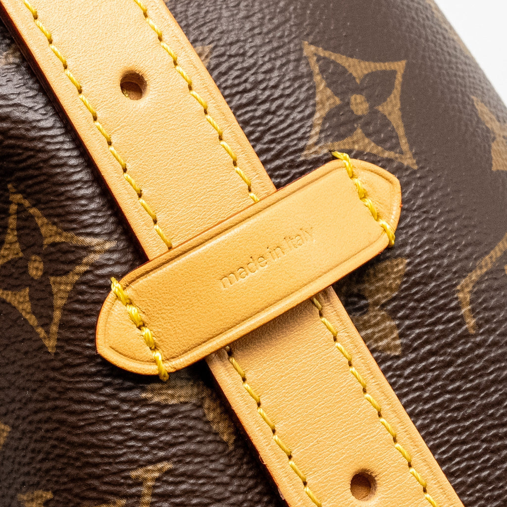 LOUIS VUITTON CARRYALL PM MONOGRAM CANVAS GHW