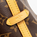 LOUIS VUITTON CARRYALL PM MONOGRAM CANVAS GHW