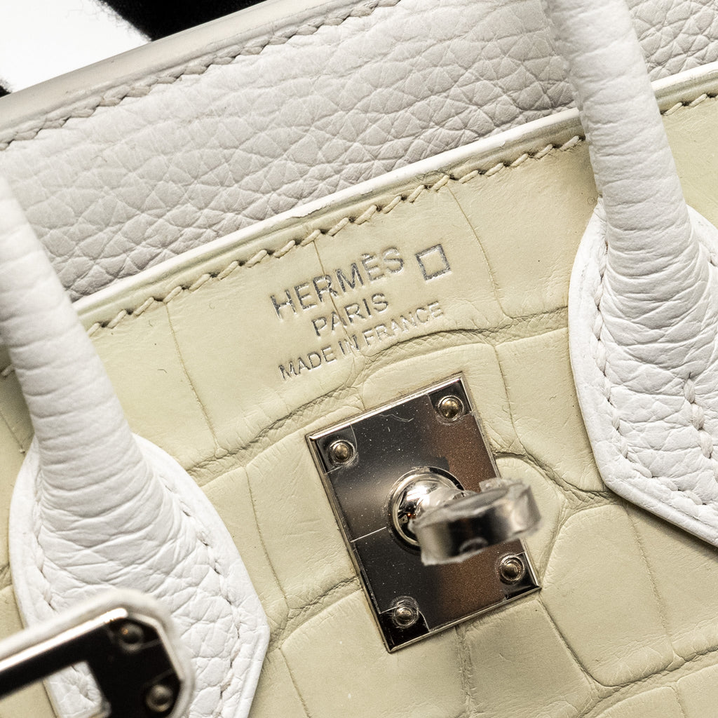 Hermes Birkin 20 Faubourg Snow Matt Alligator / Togo / Epsom/ Swift beton SHW
