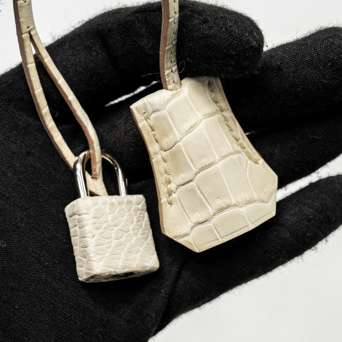 Hermes Birkin 25 Crocodile Porosus Beton SHW