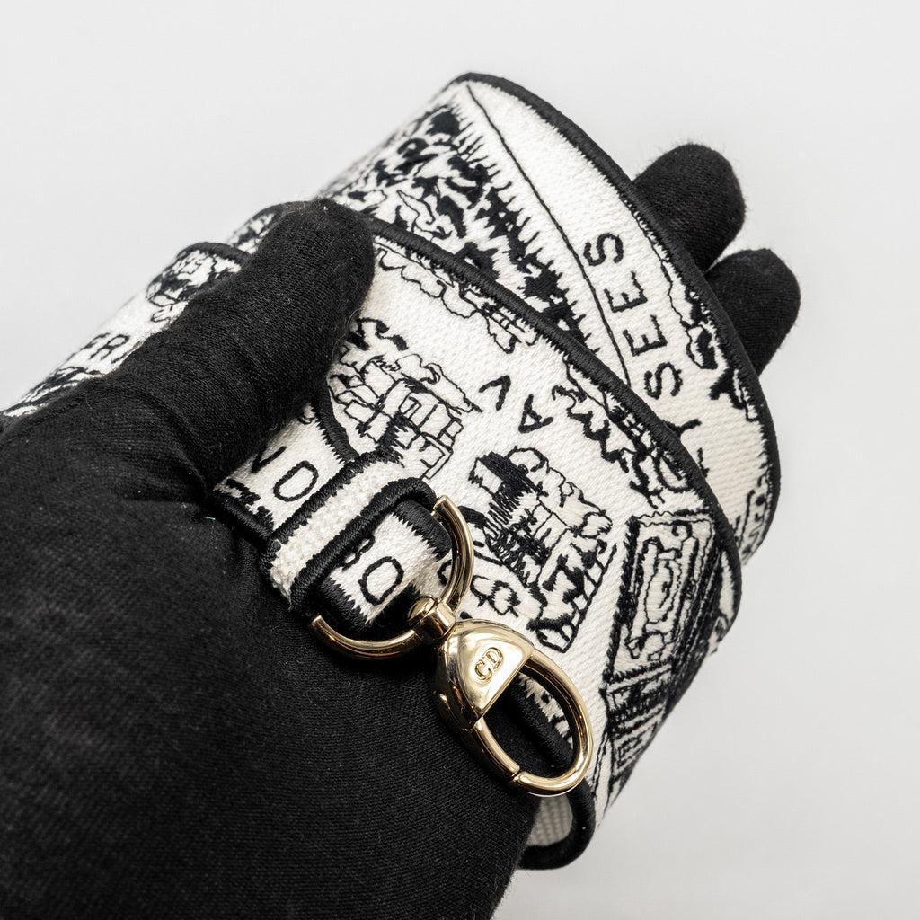 DIOR MEDIUM LADY D-LITE BAG PLAN DE PARIS EMBROIDERY CANVAS BLACK/WHITE LGHW