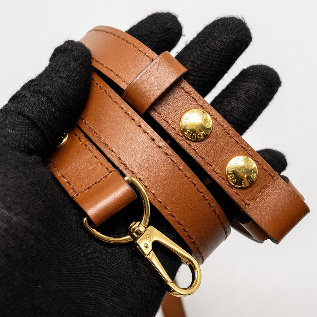 LOUIS VUITTON DAUPHINE MM MONOGRAM REVERSE CANVAS GHW